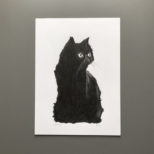 Black Kitty Pet Portrait
