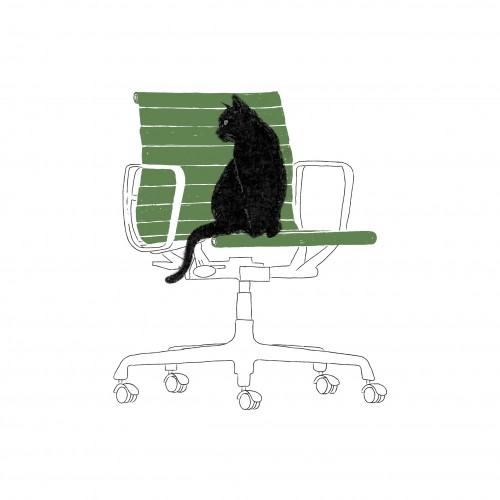 A Black Cat on an Eames Chair
