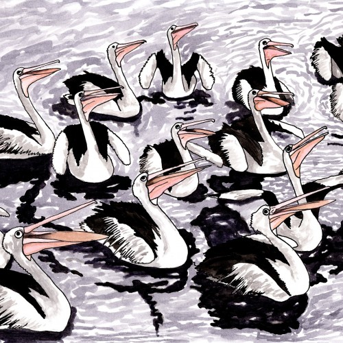 Pelican Choir