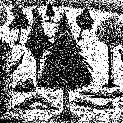 Inked Forest
