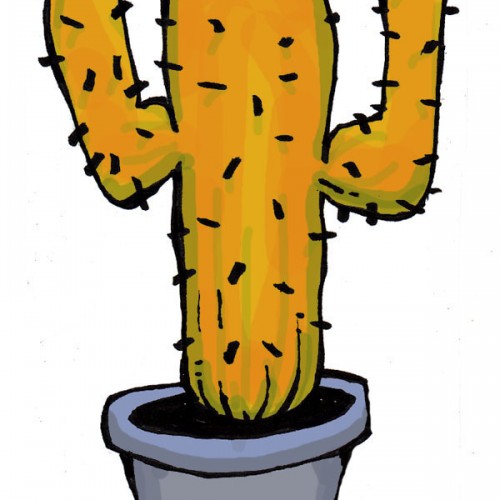 Ginger Cactus 2