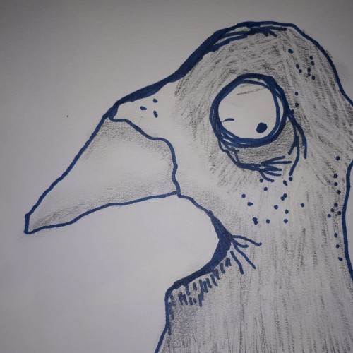 Worried Crow