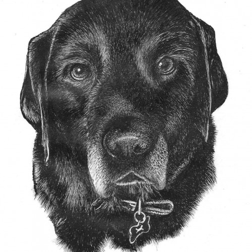 Black Labradorite Portrait
