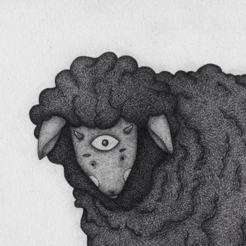 Third eye sheep