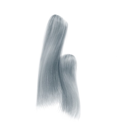 Long Haired Animal