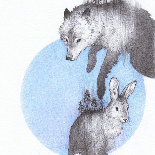 Wolf and hare