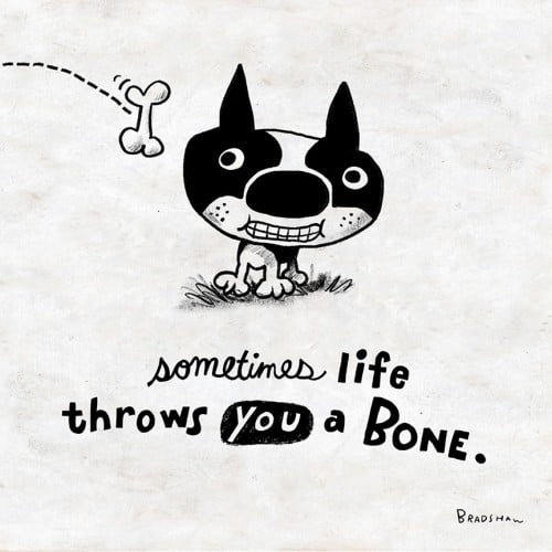 When Life Throws You a Bone
