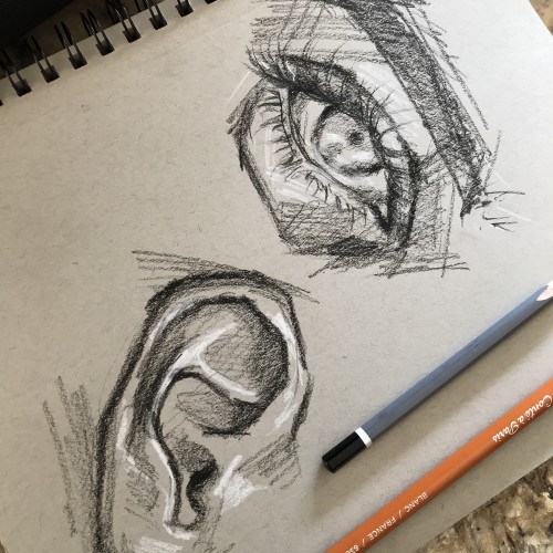 Features: eye, ear | charcoal sketch