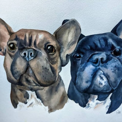 Watercolor Frenchies
