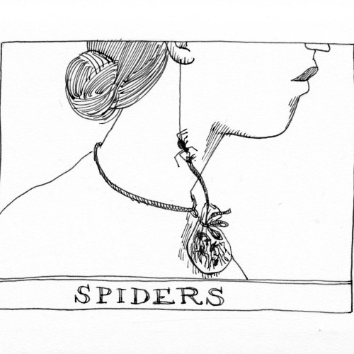 Spider superstition