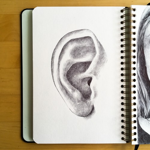 Ear study