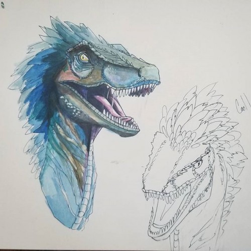 Raptor watercolor