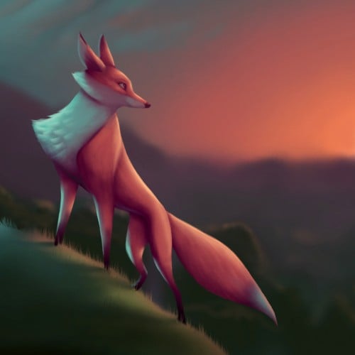 Fox on a Hill at Sunset