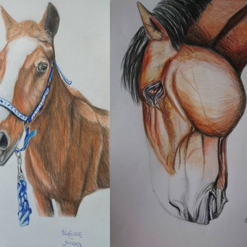 Collage of 2 horse portraits