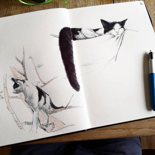 Sketchbook cat