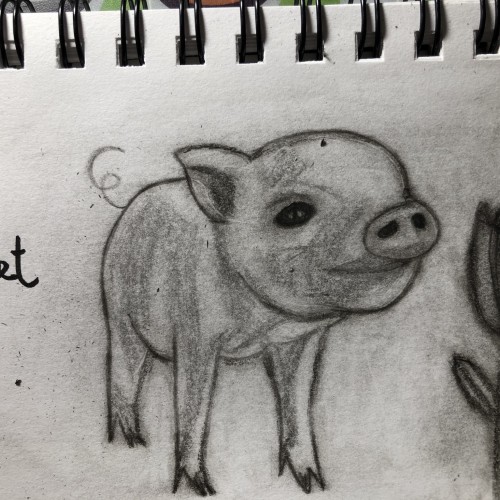 Pig likes rose