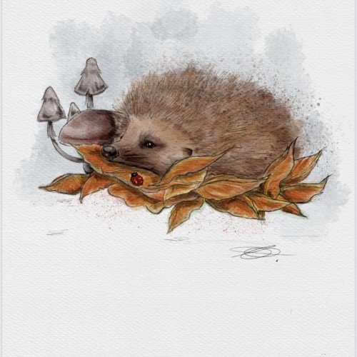 Autumn hedgehog