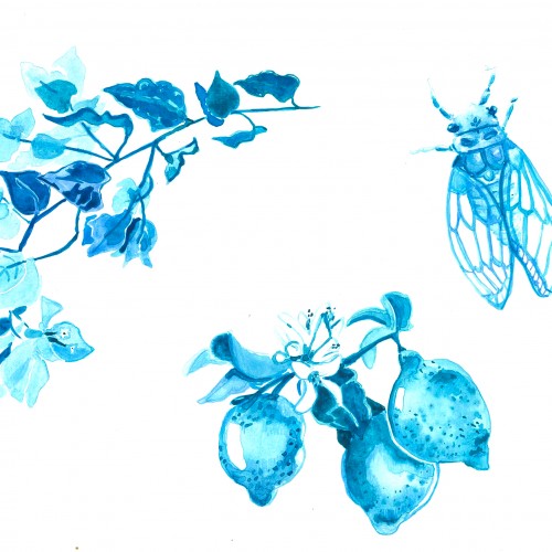Blue Provence theme: Lemon, cicada and bougainvillea