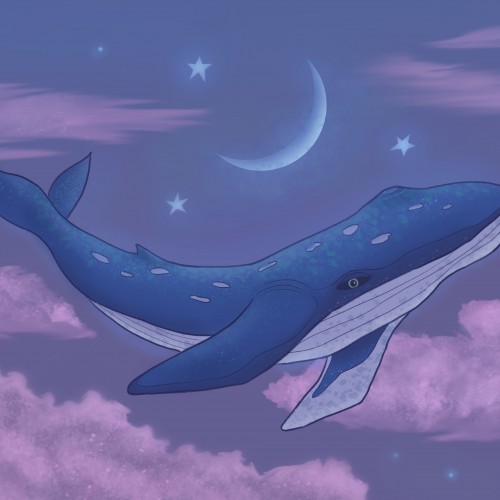 Dreaming Whale