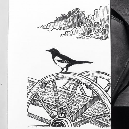 Magpie and wheel