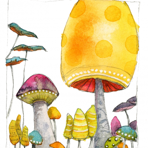 Mushroom practice