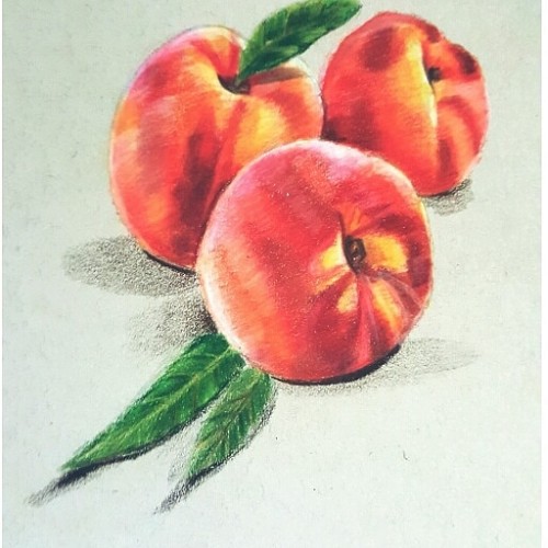 peaches made with colorpencil