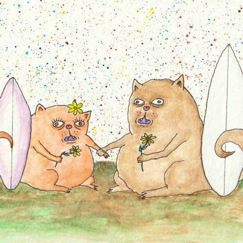 Surf Cats in Love