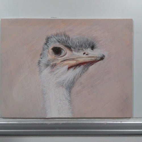 Ostrich.  Egg tempera on panel. 23cm x 30cm