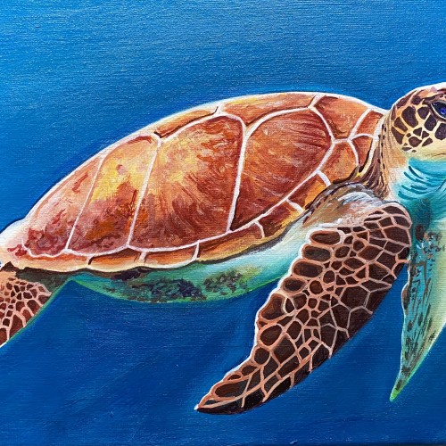 Serene Sea Turtle