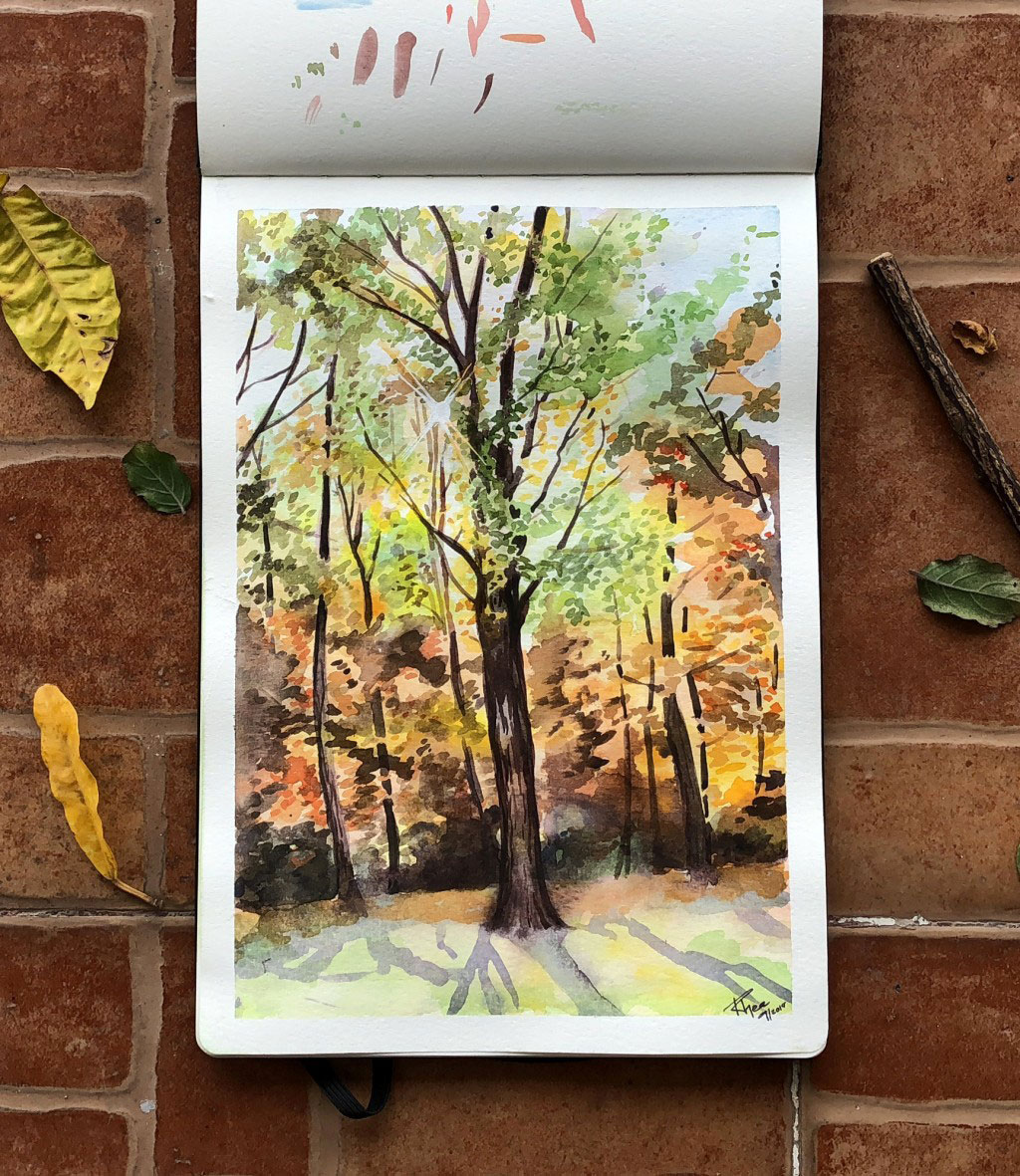 Watercolor painting of a forest during fall