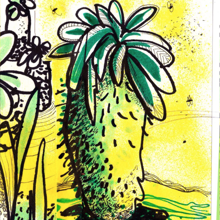 Marker drawing of a cactus