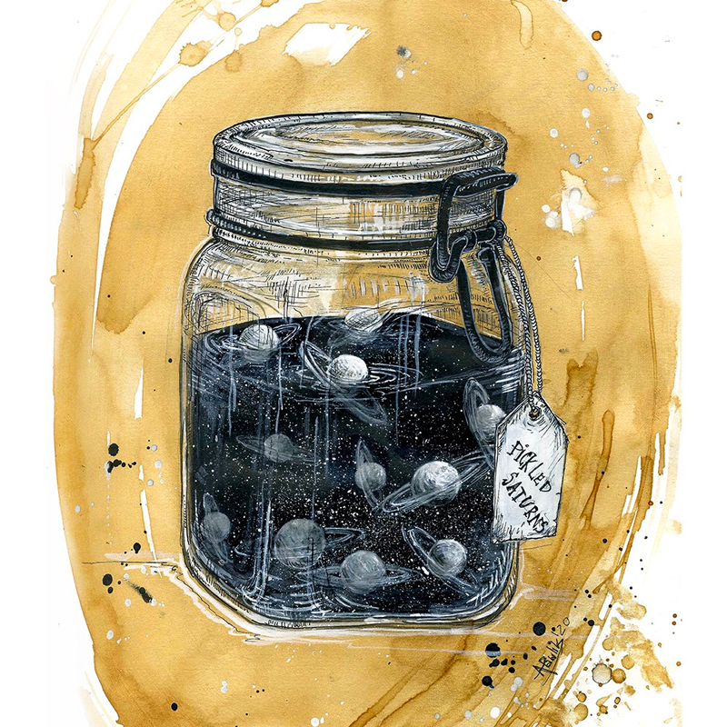 Pickled Saturns by Ania Pawlik