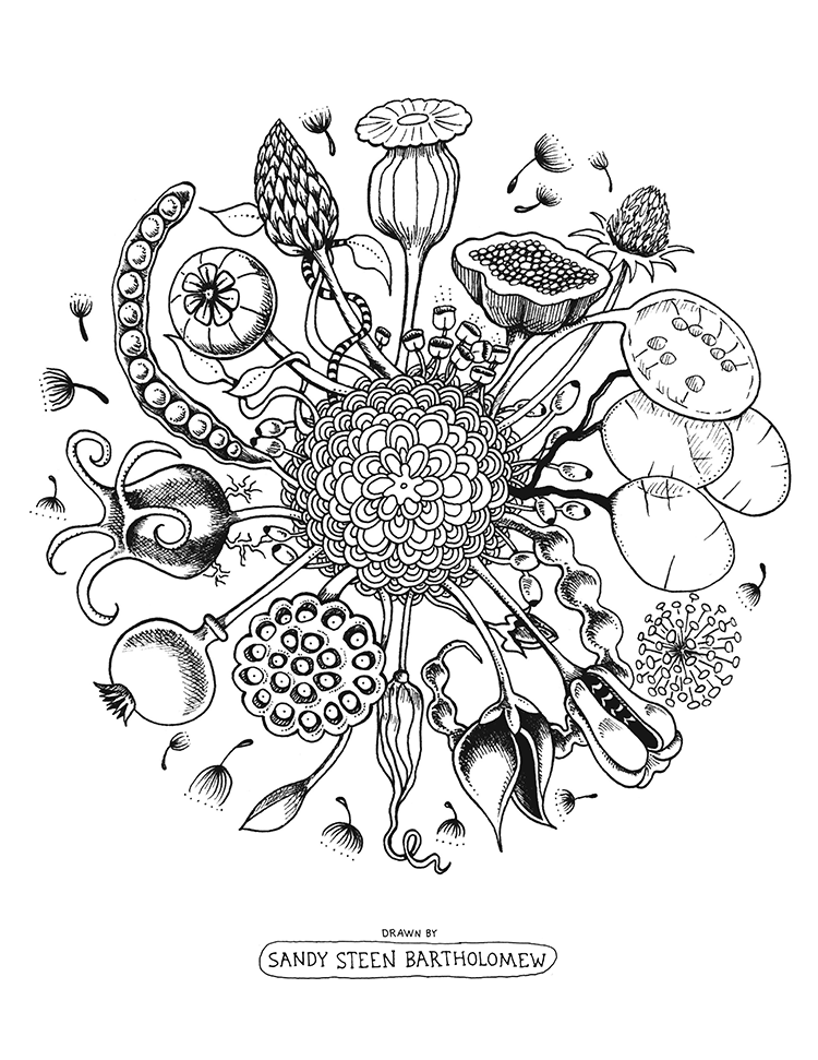 Blank Coloring Page by Sandy Steen Bartholomew