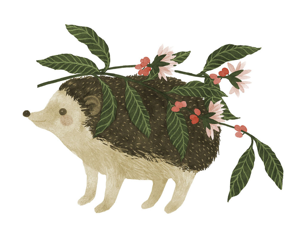 Hedgehog with a branch with berries on it's back