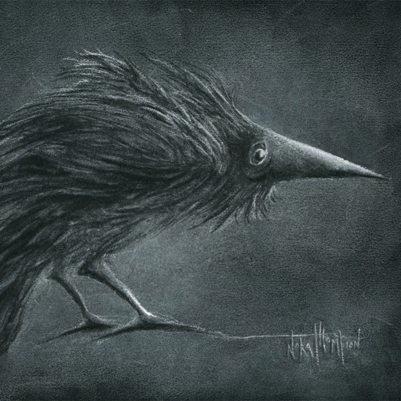 Crow drawing by Nora Thompson