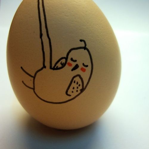 Egg Draw