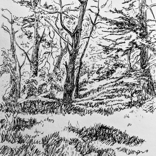Quarantined Quarters Drawing Challenge