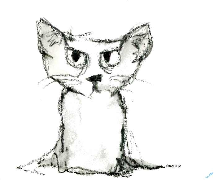 angry cat drawing by mary ann hanlon