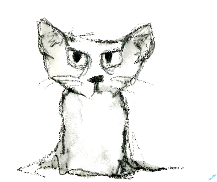 Freehand Sketch Illustration Of Angry Cat, Kitten Doodle Hand