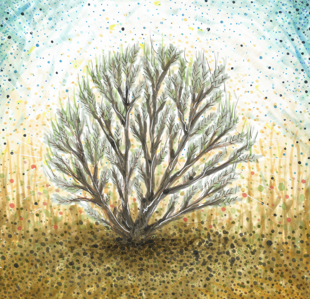 sagebrush drawing by stacey walker oldham Doodle Addicts
