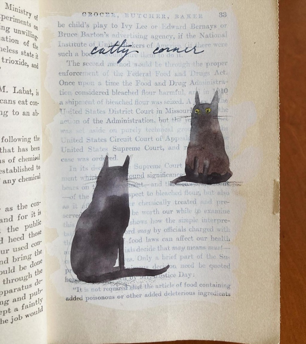 Catty corner drawing by Sabina Hahn | Doodle Addicts