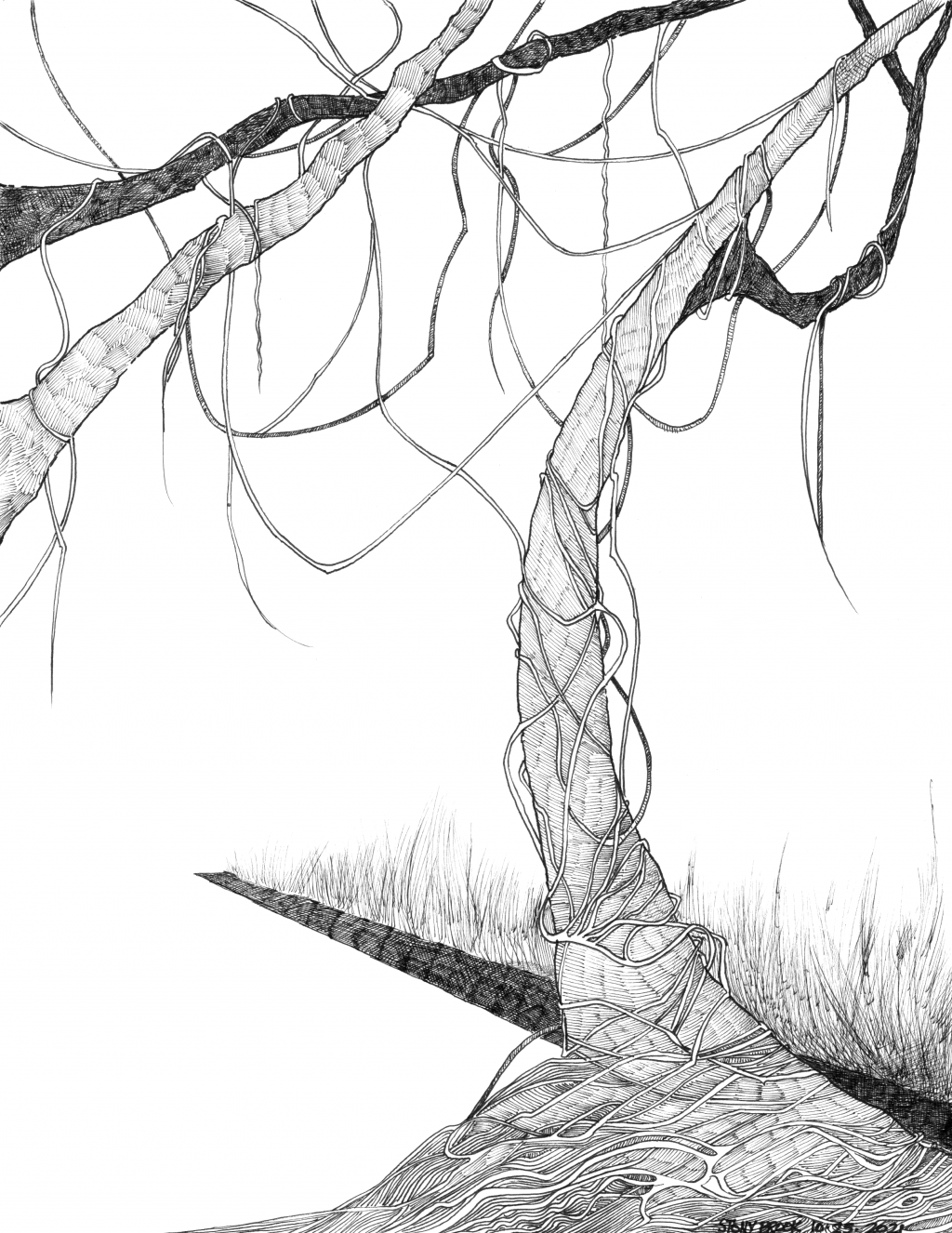 bicycle-route-drawing-by-william-obrien-doodle-addicts