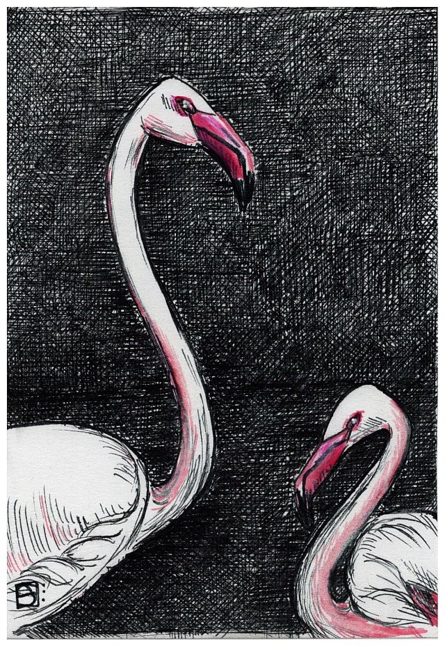flamingos drawing by Sylwia J D Doodle Addicts