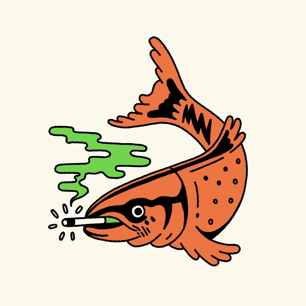 Smoked Salmon drawing by Elle Duffey Doodle Addicts