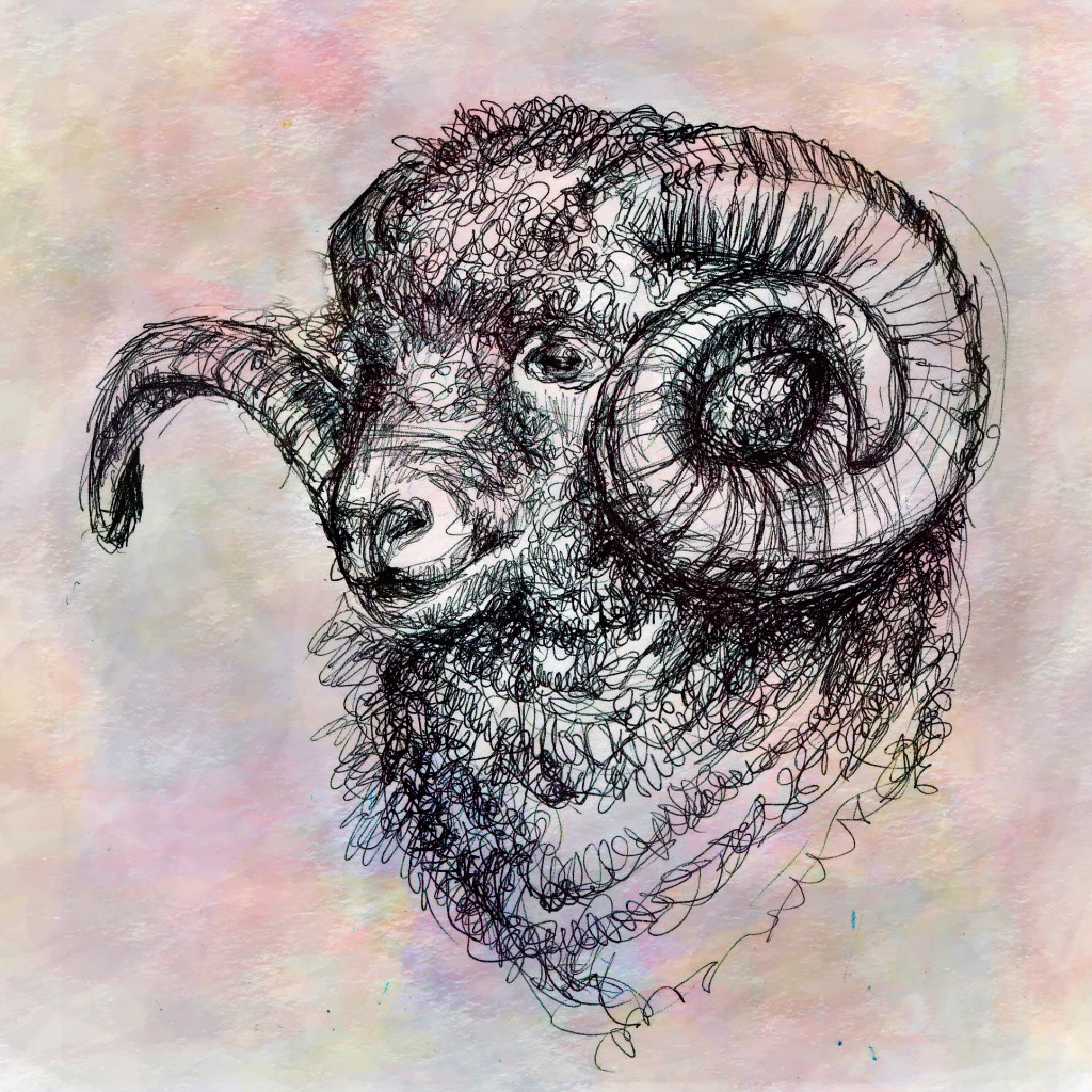 - Ram drawing by Jansons | Doodle