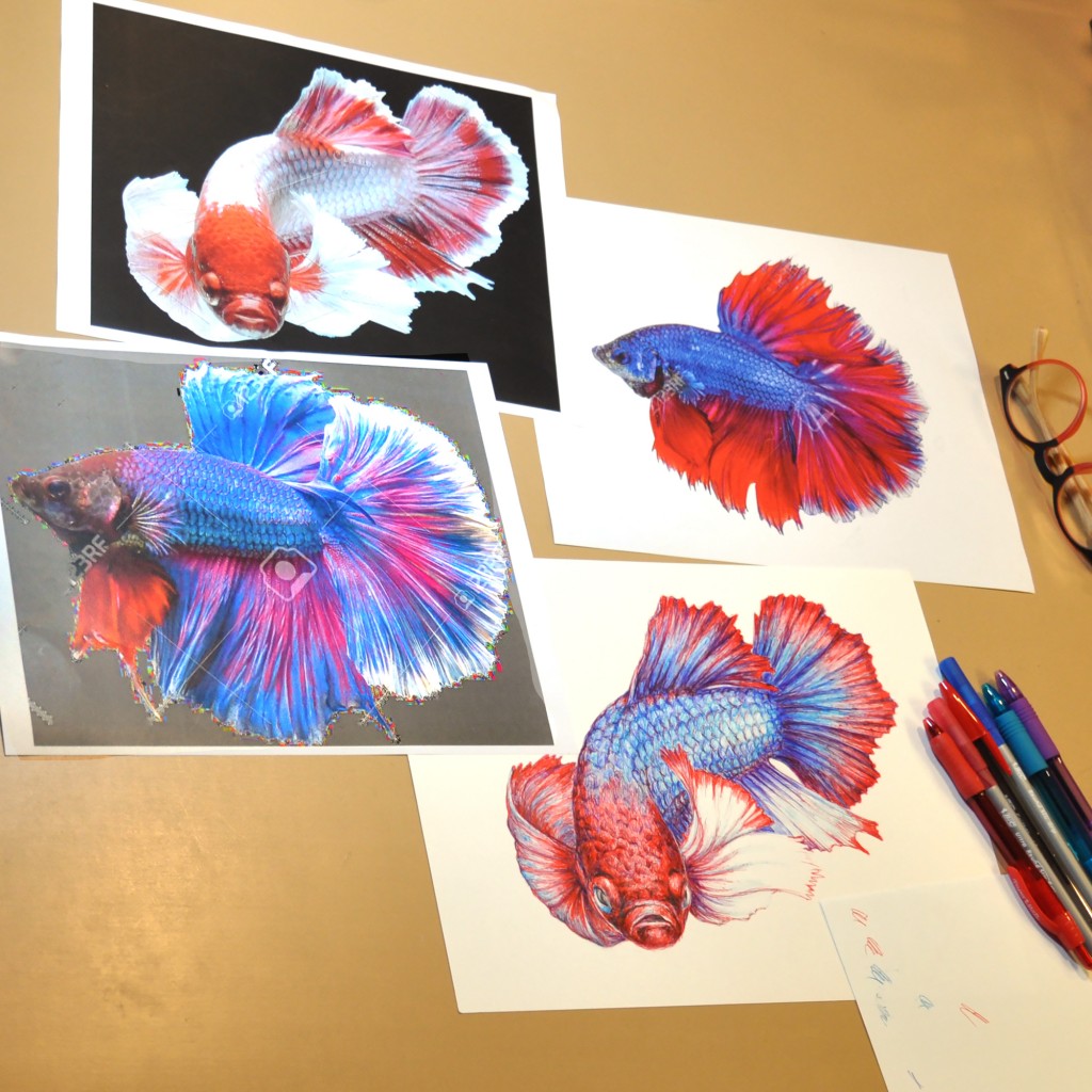 Betta fish drawing by Ilga Jansons | Doodle Addicts