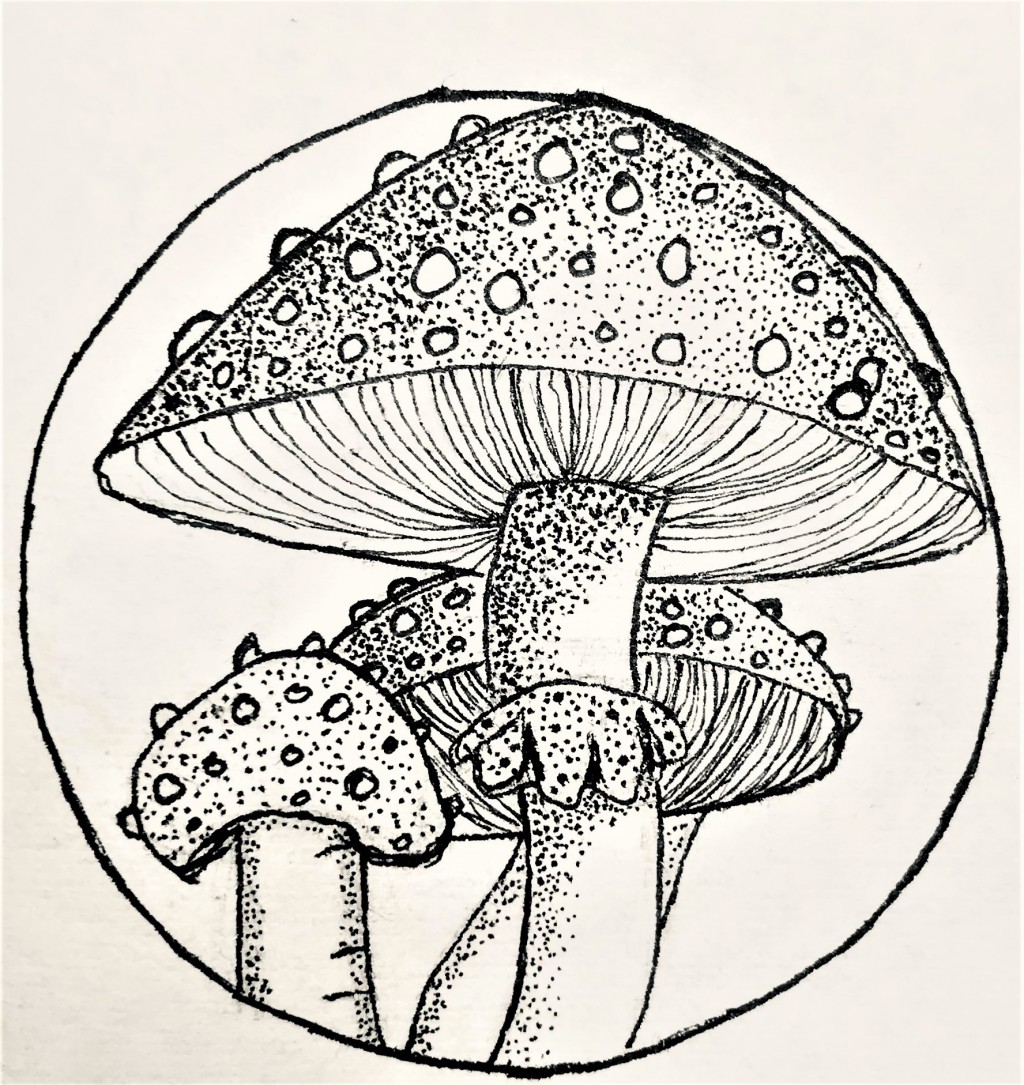 Latest Ink Doodles drawing by Suzette Doodle Addicts