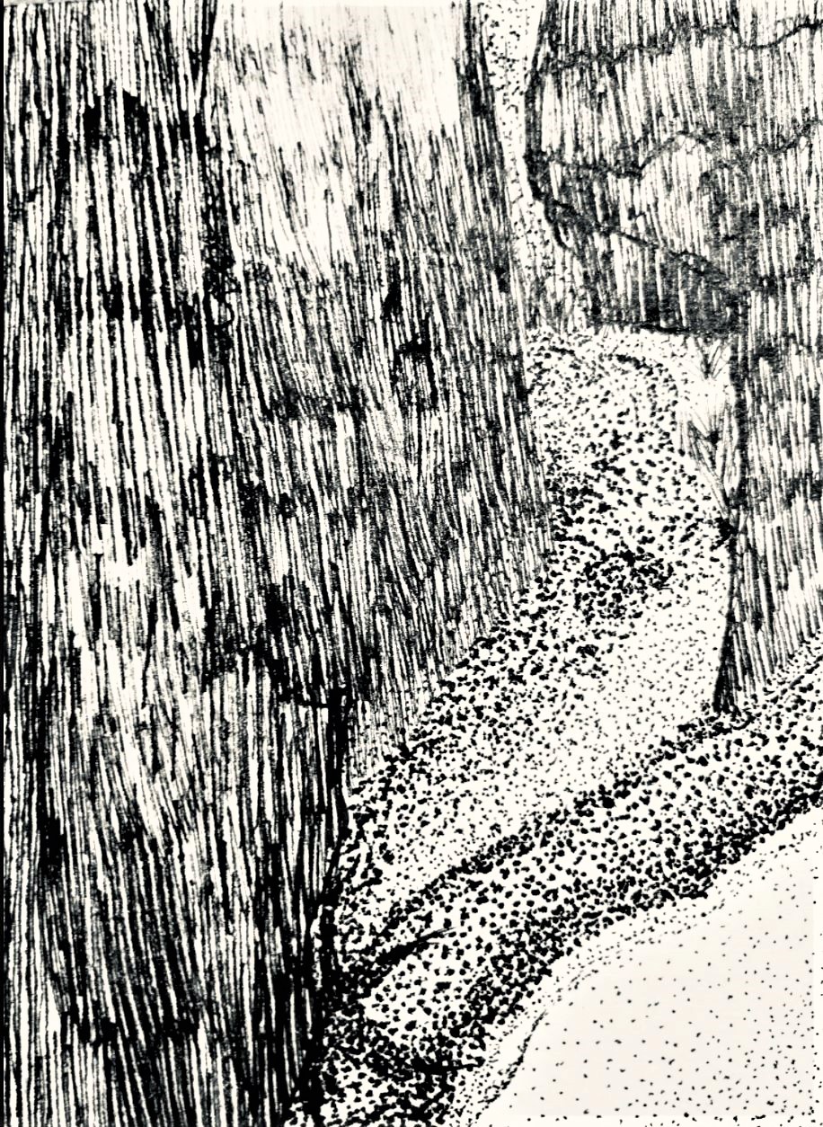 Ink Doodle drawing by Suzette Doodle Addicts