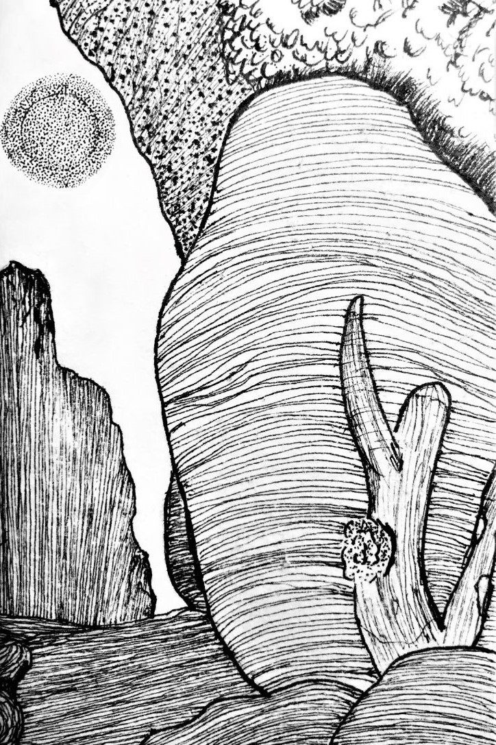 Ink Drawings drawing by Suzette Doodle Addicts