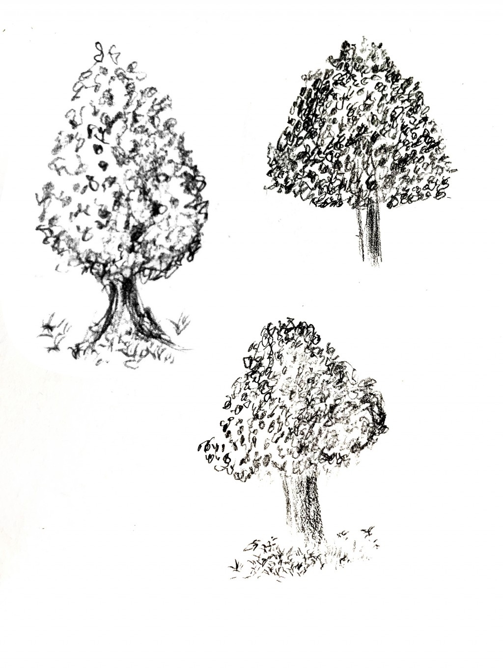 Tree Doodles drawing by Suzette Doodle Addicts